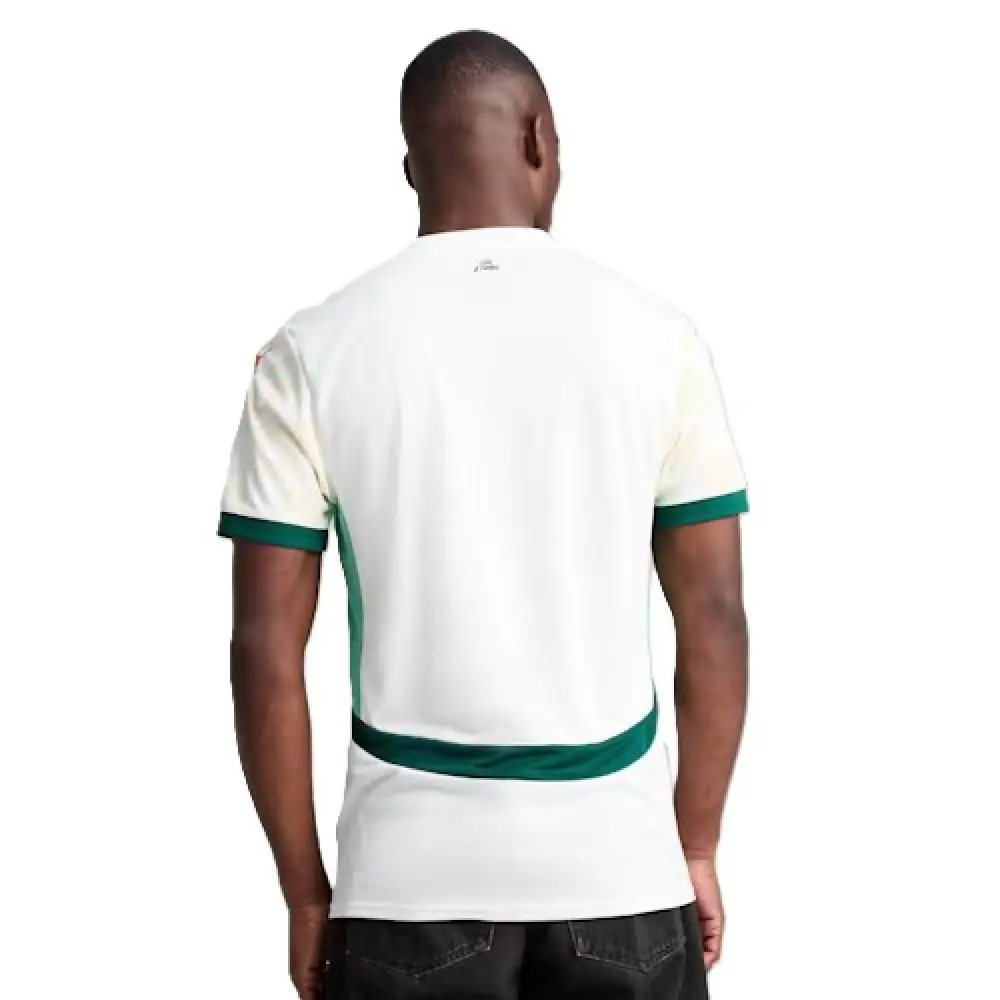 Maillot extérieur Côte d'Ivoire 2025 - Image 4