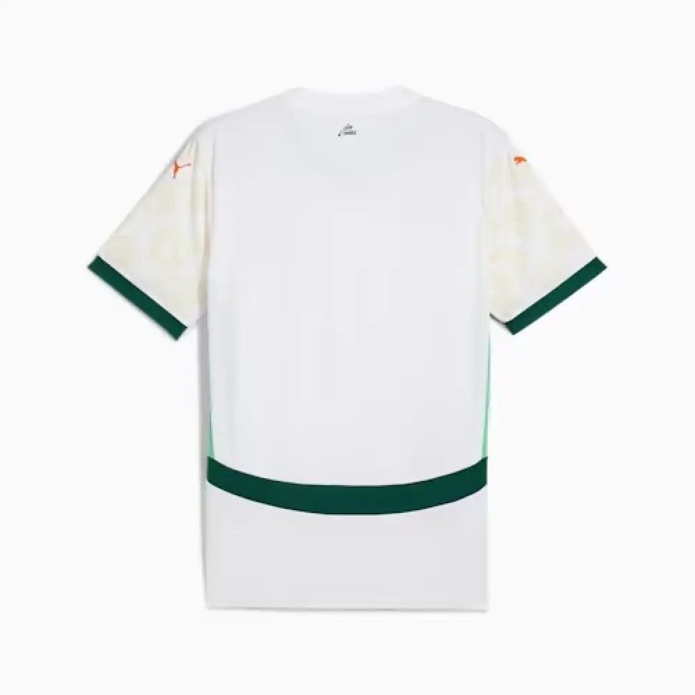 Maillot extérieur Côte d'Ivoire 2025 - Image 8